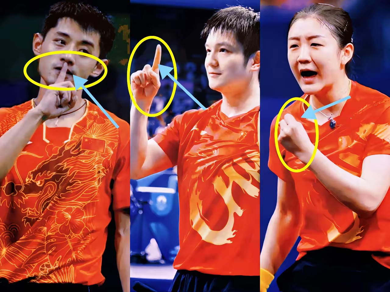 韩国队逆转葡萄牙队，张继科点燃赛场