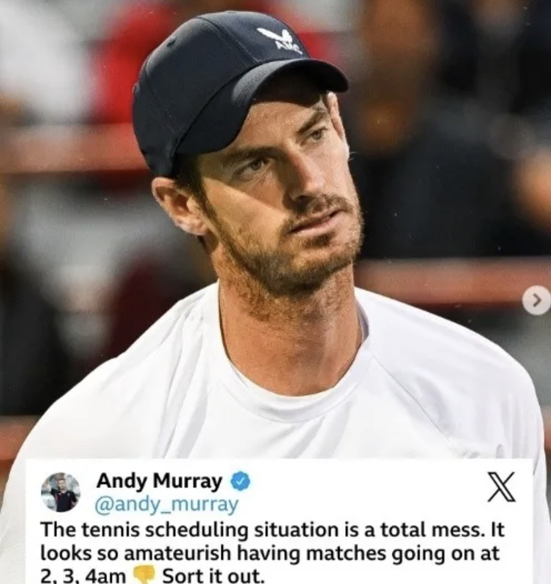 戴维斯杯完胜美网,穆雷惊艳四座的简单介绍 戴维斯杯完胜美网,穆雷惊艳四座的简单介绍