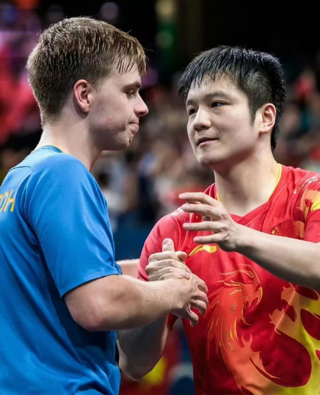 葡萄牙队横扫法国队,樊振东关键制胜 葡萄牙队横扫法国队,樊振东关键制胜