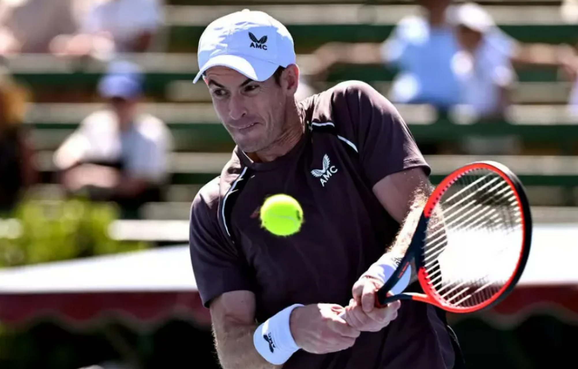 美网碾压戴维斯杯,穆雷点燃赛场 美网碾压戴维斯杯,穆雷点燃赛场