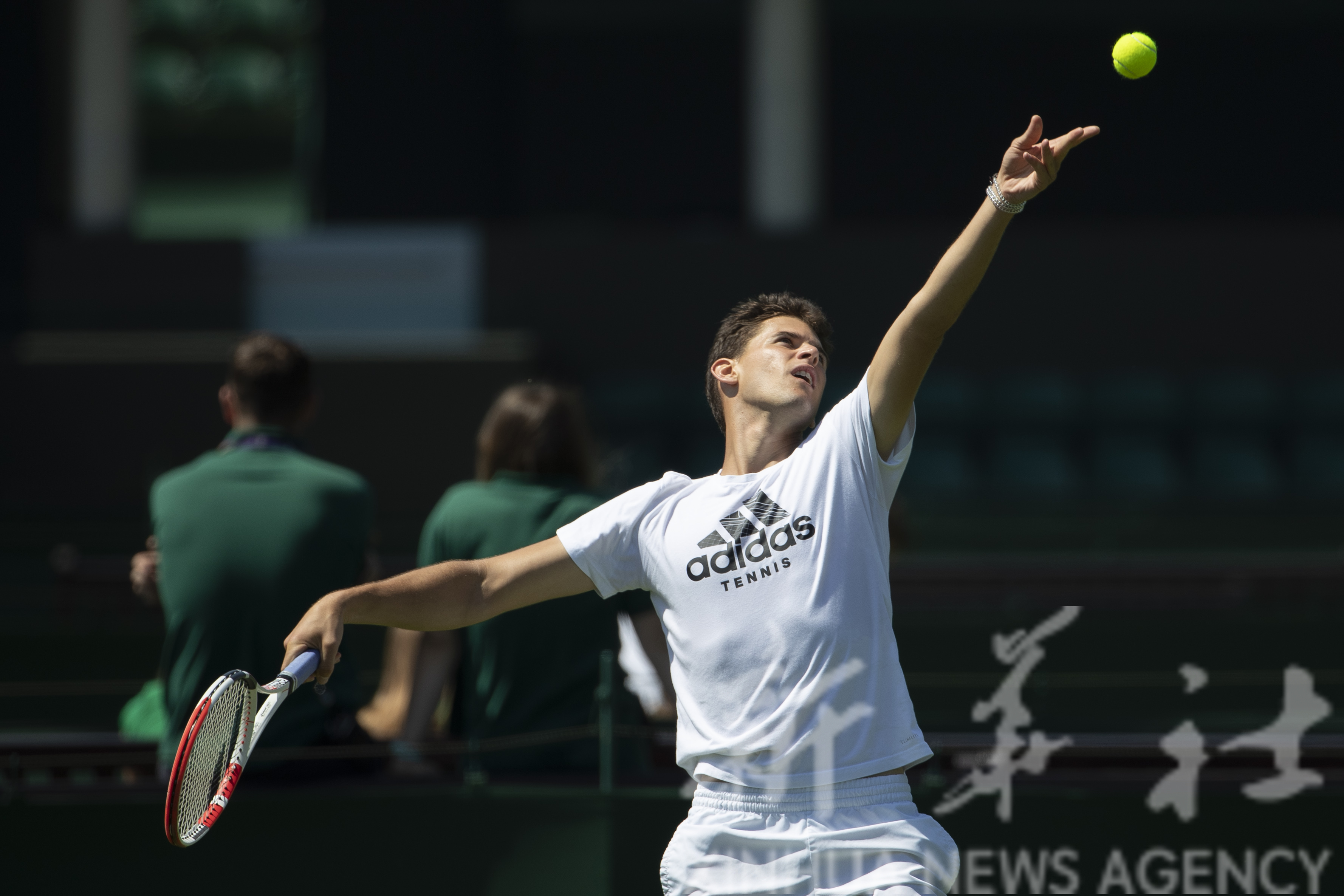 温网力克年终总决赛，蒂姆状态火热